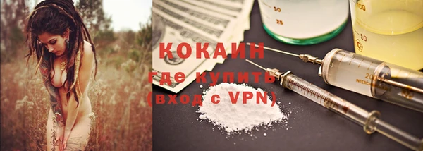 спиды Зеленокумск