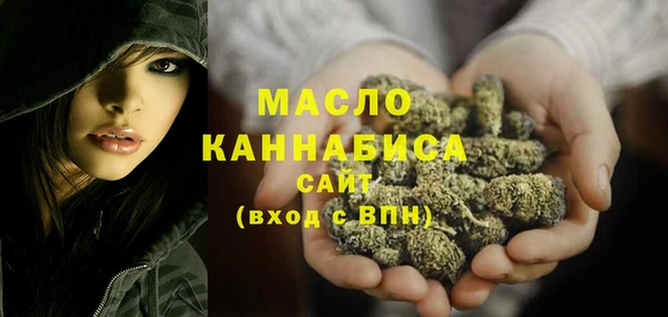 СК Каменка