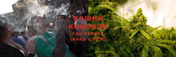 прущая мука Иннополис